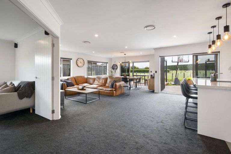 Photo of property in 42 Accolade Street, Maewa, Feilding, 4702