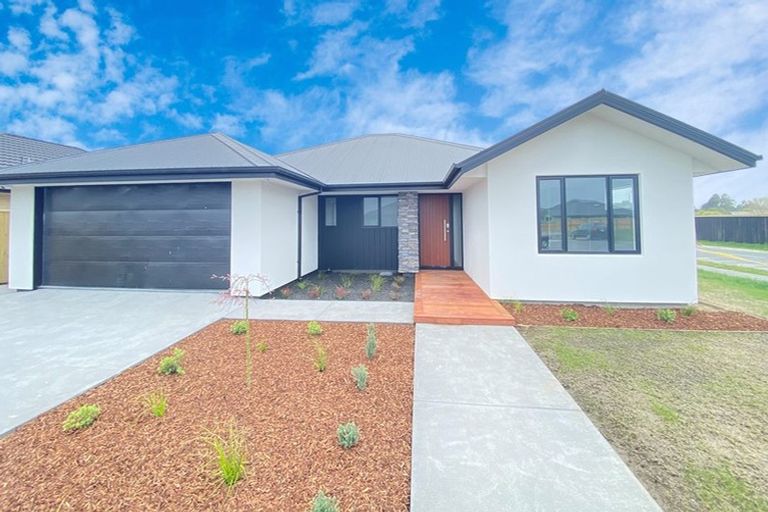 Photo of property in 81 Oaks Drive, Lincoln, 7608