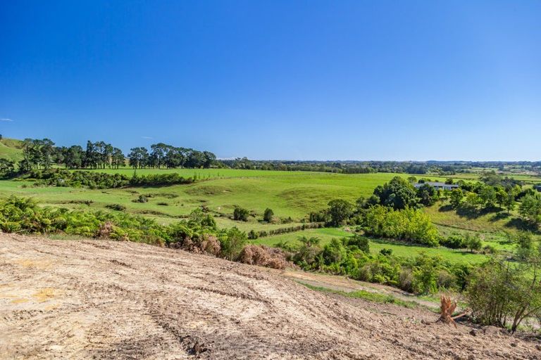 Photo of property in 245b Wallace Road, Koputaroa, 5571