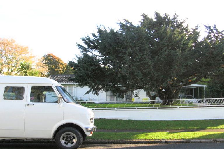 Photo of property in 22 Cramond Street, Tokoroa, 3420