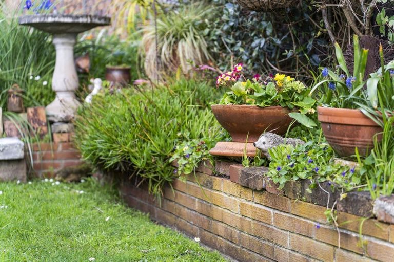 Photo of property in 21 Marywil Crescent, Hillcrest, Auckland, 0627