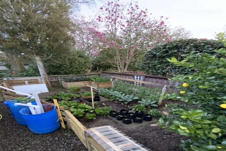 Photo of property in 33 Haerehuka Street, Otorohanga, 3900