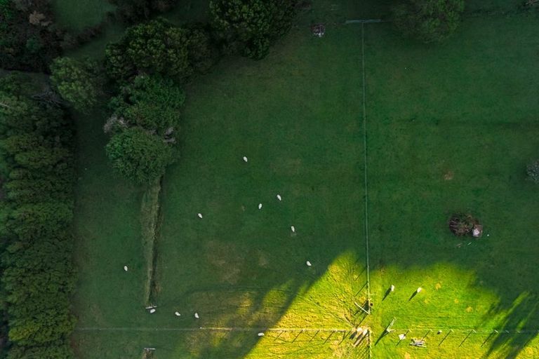 Photo of property in 299 Moores Valley Road, Wainuiomata, Lower Hutt, 5373