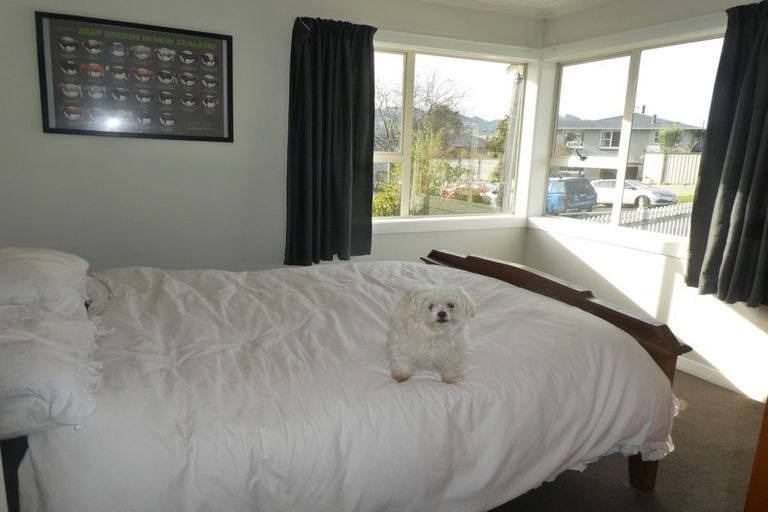 Photo of property in 61 Martin Road, Fairfield, Dunedin, 9018