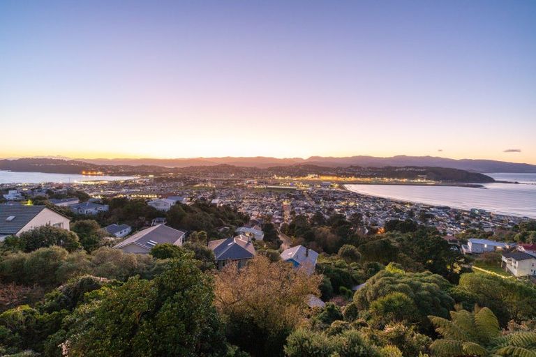 Photo of property in 17 Hornsey Road, Melrose, Wellington, 6023