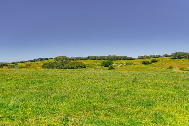 Photo of property in 171 Darwin Road, Outer Kaiti, Gisborne, 4010