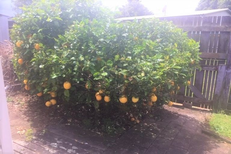 Photo of property in 4 Didsbury Drive, Waihi Beach, 3611