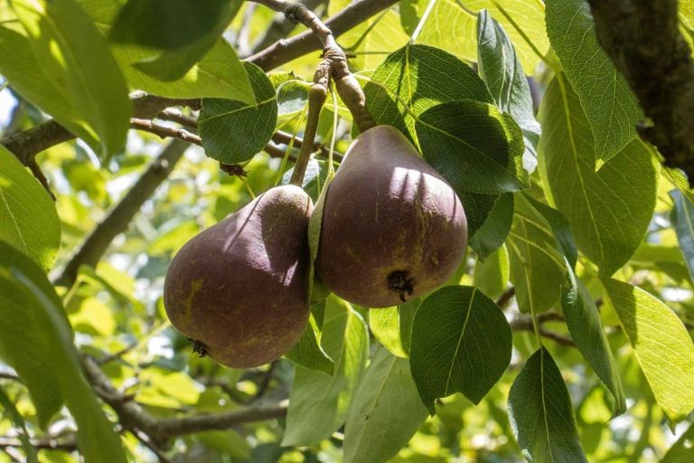 Photo of property in 10 Richmal Street, Waihi, 3610