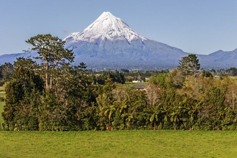Photo of property in 195 Dudley Road Upper, Inglewood, 4386