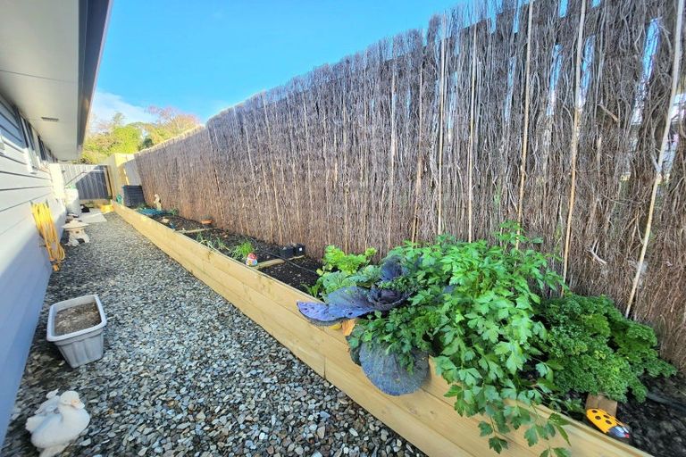 Photo of property in 11e Kingslea Street, Holmes Hill, Oamaru, 9401