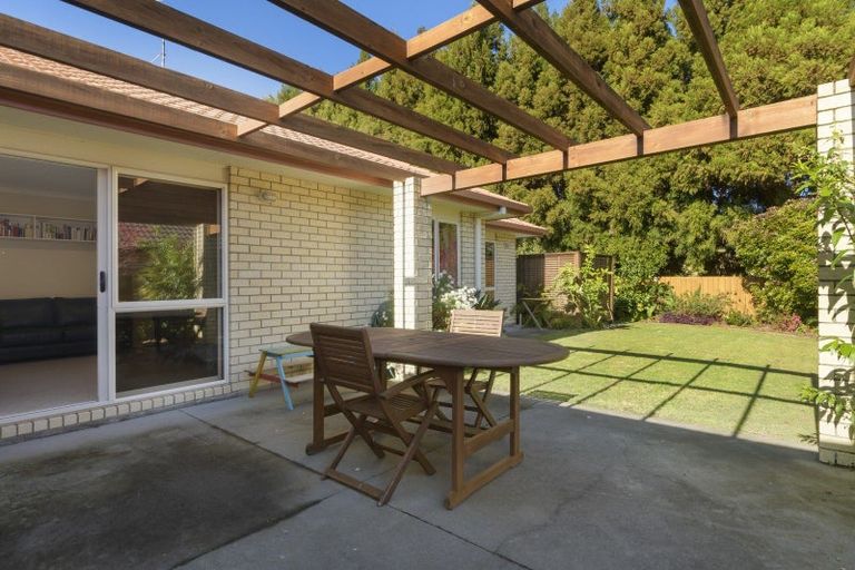 Photo of property in 16 Edwin Grove, Bethlehem, Tauranga, 3110