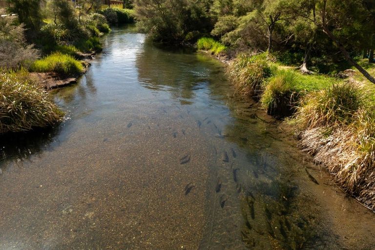 Photo of property in 216 Mangaroa Street, Tokaanu, Turangi, 3381