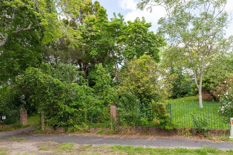 Photo of property in 1 Puutikitiki Street, Hamilton East, Hamilton, 3216