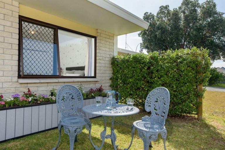 Photo of property in 936c Cameron Road, Gate Pa, Tauranga, 3112