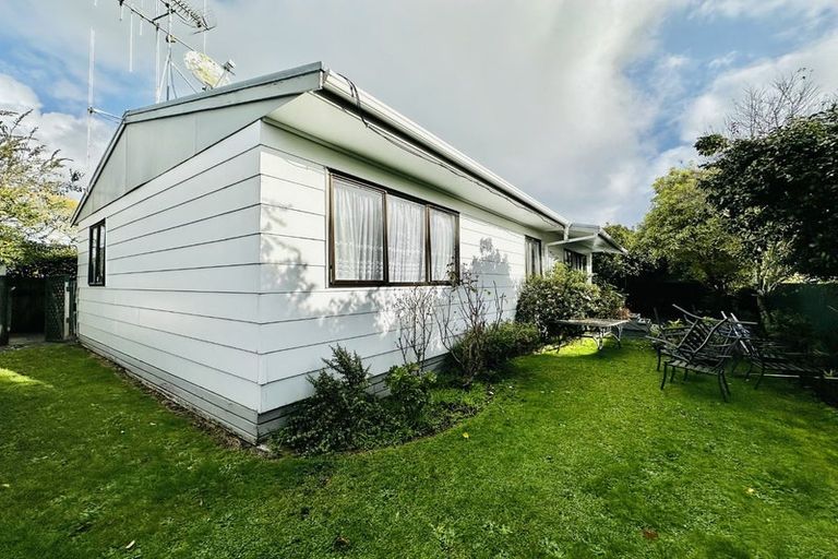 Photo of property in 55 Brookfield Street, Hamilton East, Hamilton, 3216