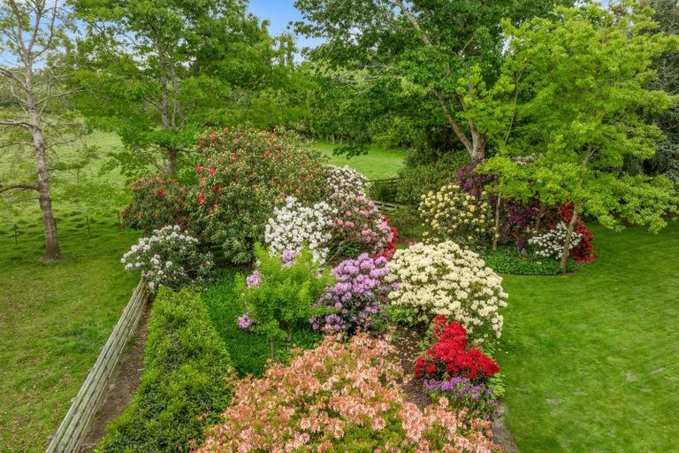 Photo of property in 256 Heywards Road, Clarkville, Kaiapoi, 7692