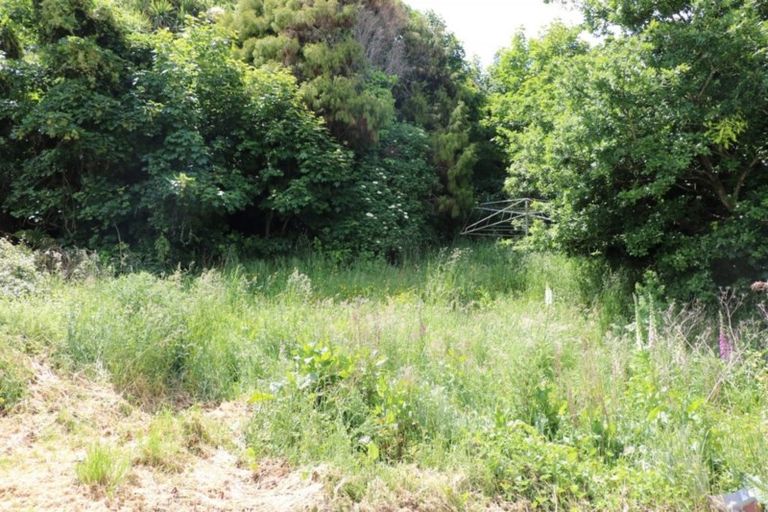 Photo of property in 14 Rata Street, Kaka Point, 9271