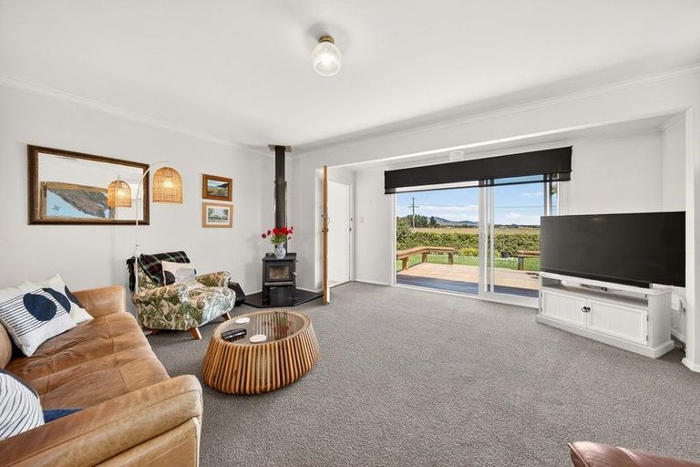 Photo of property in 47 Ferry Road, Martinborough, 5711