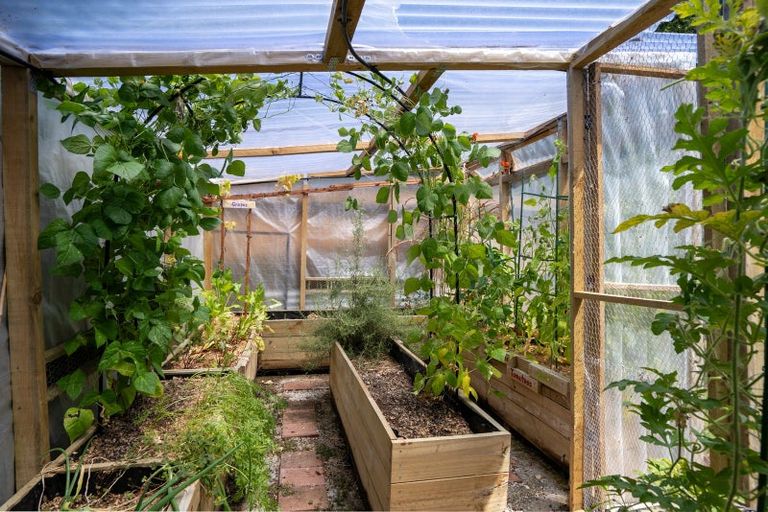 Photo of property in 52 Shelley Street, Leamington, Cambridge, 3432