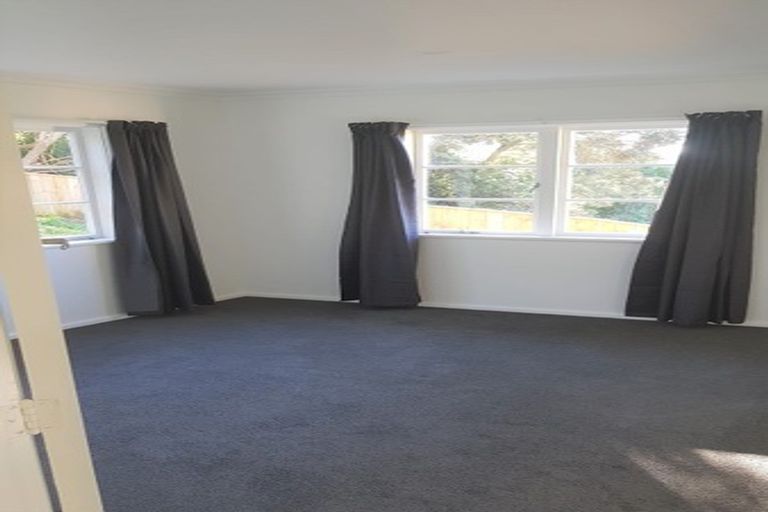 Photo of property in 153 The Ridgeway, Mornington, Wellington, 6021