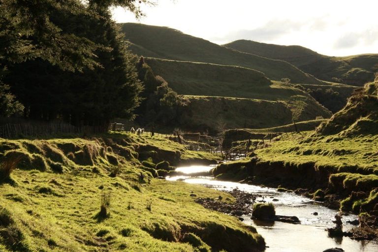 Photo of property in 6339 Matawai Road, Matawai, 4075