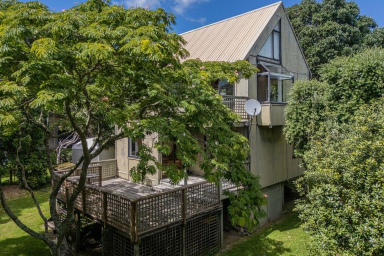 Photo of property in 863 Black Jack Road, Opito Bay, Whitianga, 3592