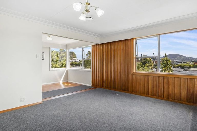Photo of property in 48 Elwyn Crescent, Green Island, Dunedin, 9018