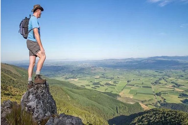 Photo of property in 10 Station Road, Tapanui, 9522