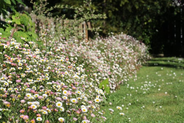 Photo of property in 46 Totara Street, Lansdowne, Masterton, 5810