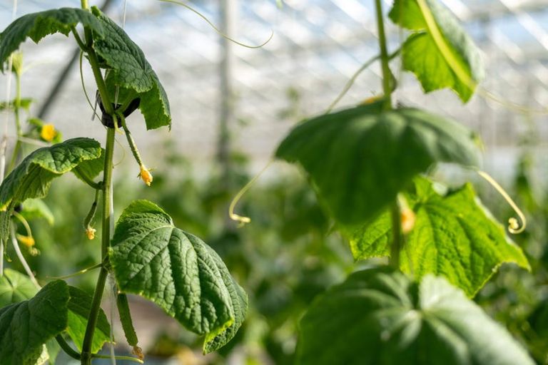 Photo of property in 1412 Dairy Flat Highway, Dairy Flat, Albany, 0794