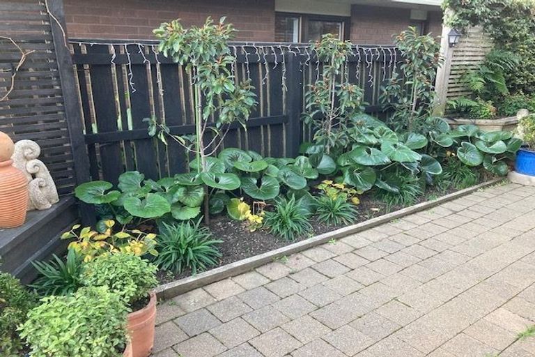 Photo of property in 379 Hardy Street, Maitai, Nelson, 7010