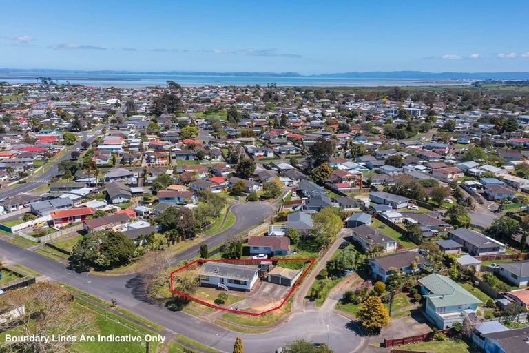 Photo of property in 25 Carter Place, Manurewa, Auckland, 2102