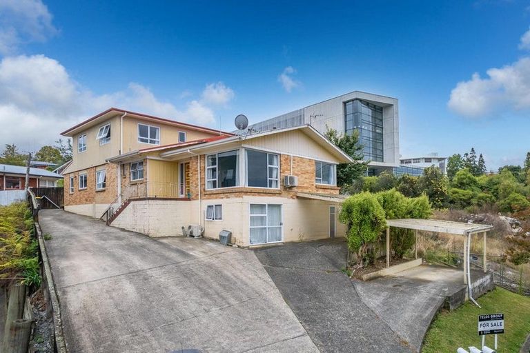 Photo of property in 103 Aurora Terrace, Hillcrest, Hamilton, 3216