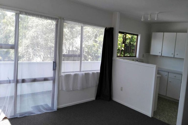 Photo of property in 45 Archers Road, Hillcrest, Auckland, 0629
