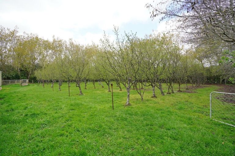 Photo of property in 420 Mcivor Road, Myross Bush, Invercargill, 9876