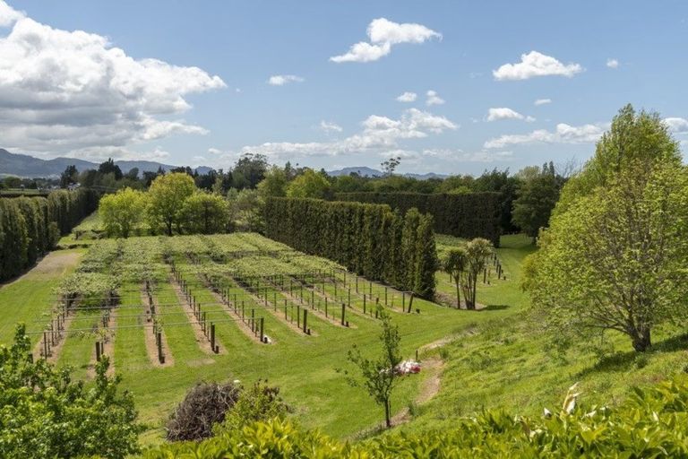 Photo of property in 2603 State Highway 2, Aongatete, Katikati, 3178