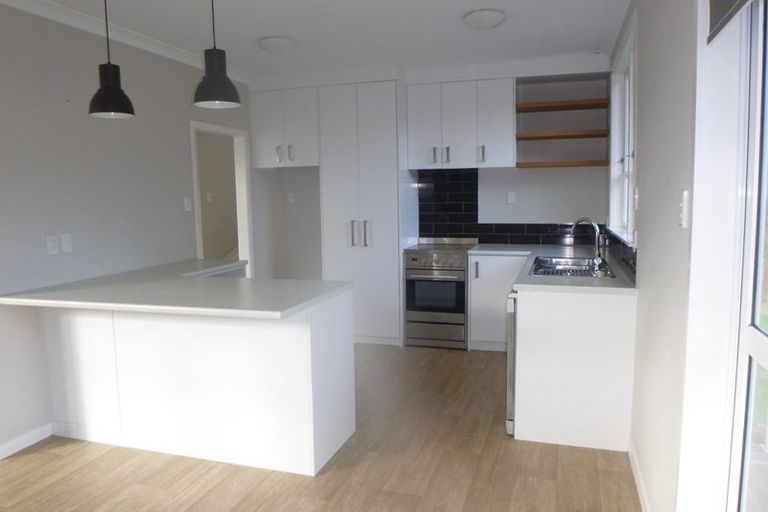 Photo of property in 60 Wakeman Street, Pahiatua, 4910