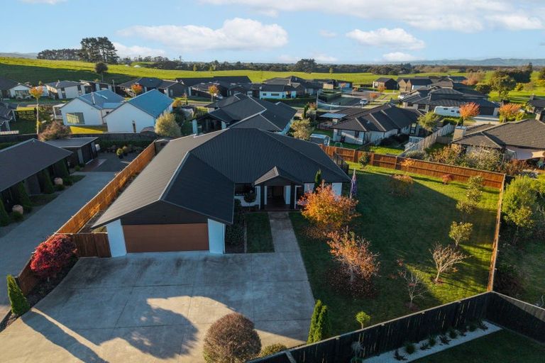 Photo of property in 30 Fairway Drive, Morrinsville, 3300