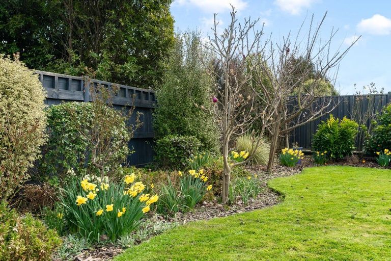 Photo of property in 4 Mervyn Brown Place, Solway, Masterton, 5810