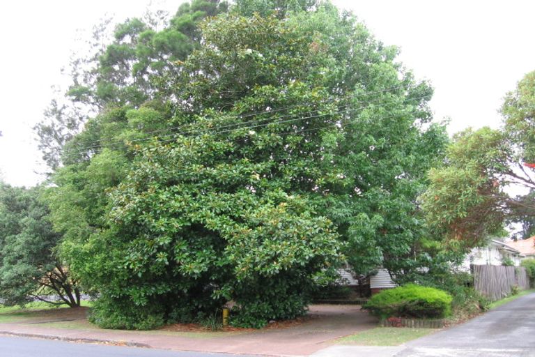 Photo of property in 31 Hillcrest Avenue, Hillcrest, Auckland, 0627