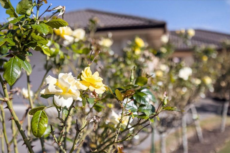 Photo of property in 4 Mcleod Place, Papamoa Beach, Papamoa, 3118