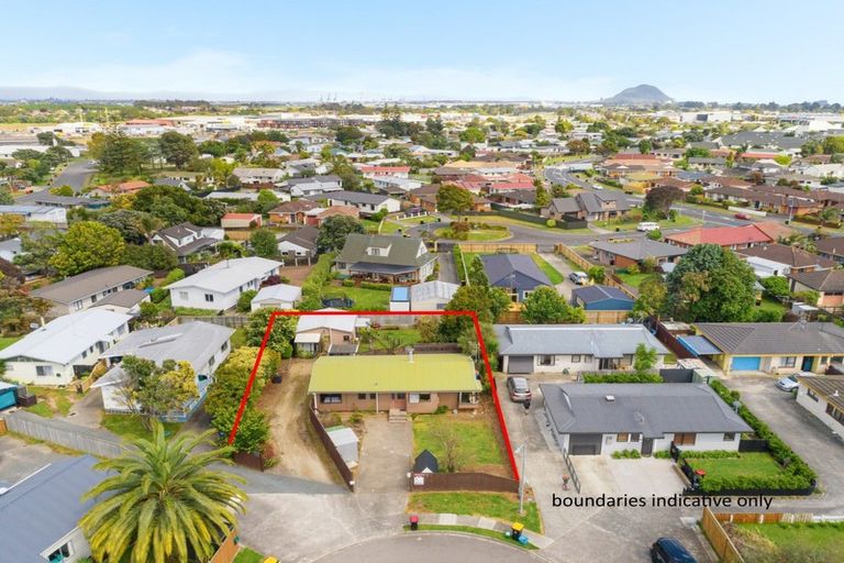 Photo of property in 11 Penrhyn Place, Mount Maunganui, 3116