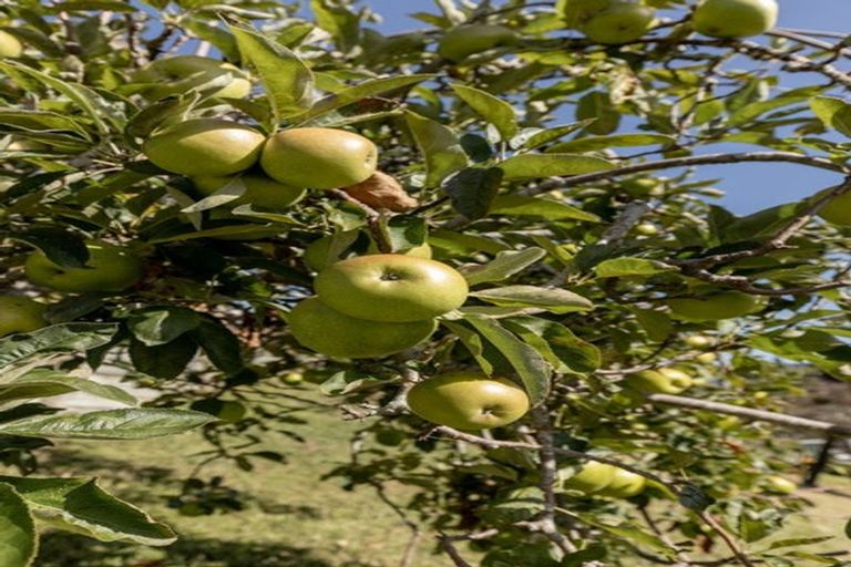 Photo of property in 21 Omokoroa Road, Omokoroa, 3114