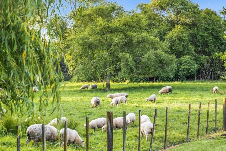 Photo of property in 16 Langford Place, Dairy Flat, Albany, 0792