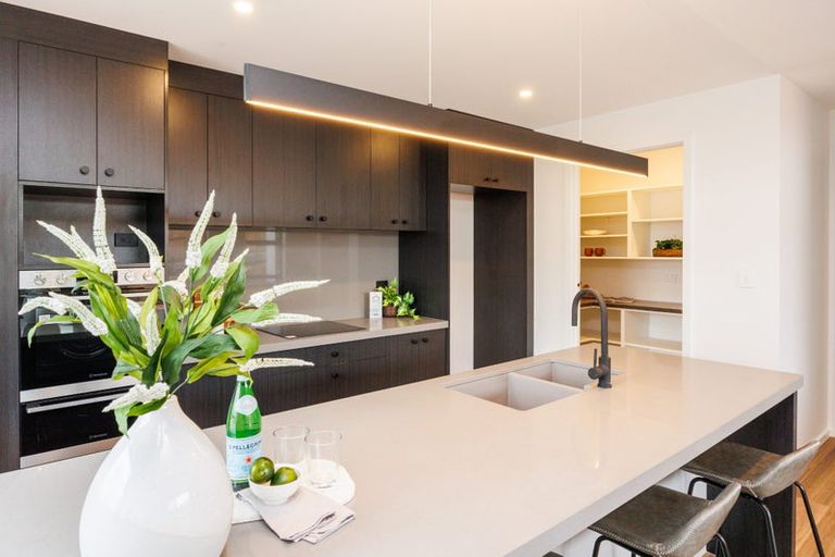 Photo of property in 47 Ashford Avenue, Hokowhitu, Palmerston North, 4410