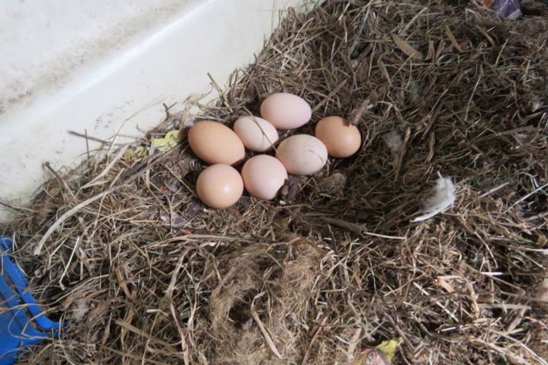 Photo of property in 714 State Highway 7, Mawheraiti, Blackball, 7871