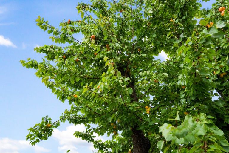 Photo of property in 41 Barker Road, Marewa, Napier, 4110