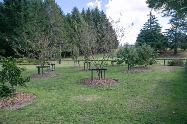 Photo of property in 113/117 Main Road, Tirau, 3410