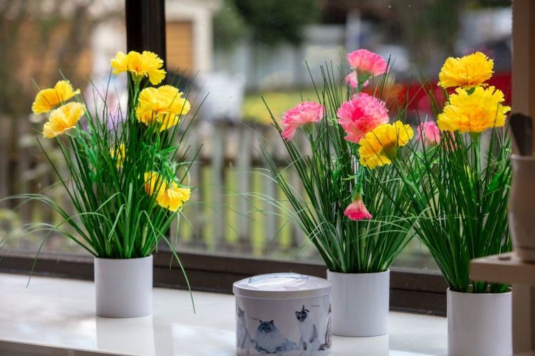 Photo of property in 7b Fairview Road, Katikati, 3129