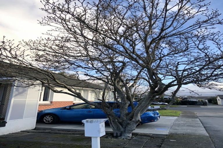 Photo of property in 2/21 Totara Street, Trentham, Upper Hutt, 5018